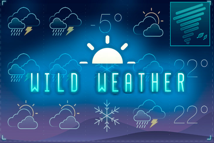Wild Weather Slot Game Screenshot
