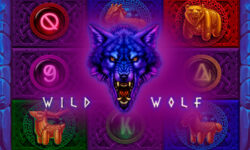 Wild Wolf