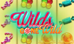 Wilds Gone Wild