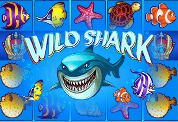 Wild Shark Slot Game Screenshot