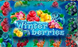 Winterberries