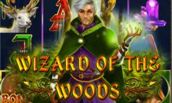 Wizard of the Woods