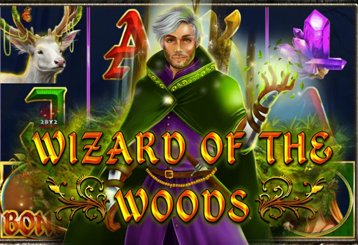 Wizard of the Woods Slot Game Screenshot