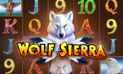 Wolf Sierra