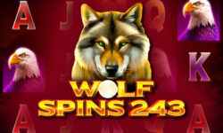 Wolf Spins 243