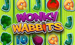 Wonky Wabbits