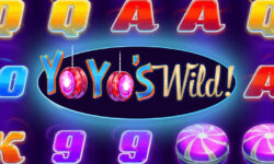 Yoyo’s Wild